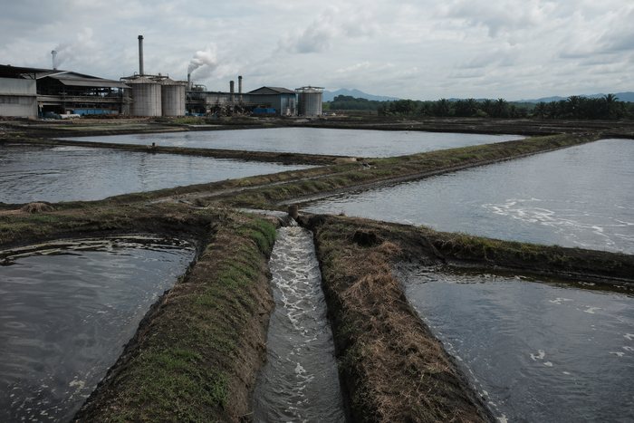 Piscinas anaerobias de efluentes con la planta extractora de aceite de palma al fondo.